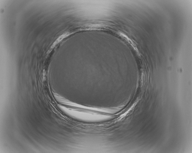 X0000085811449200704091554