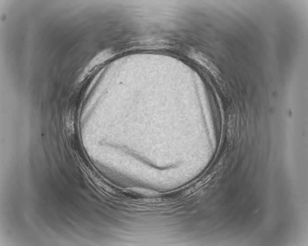 X0000085811451200704091554