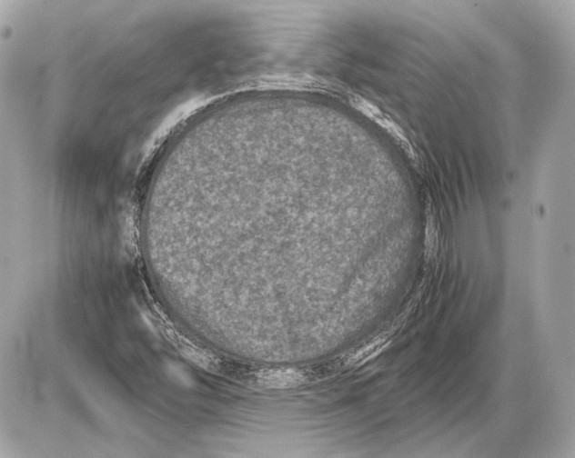 X0000085811454200704091554