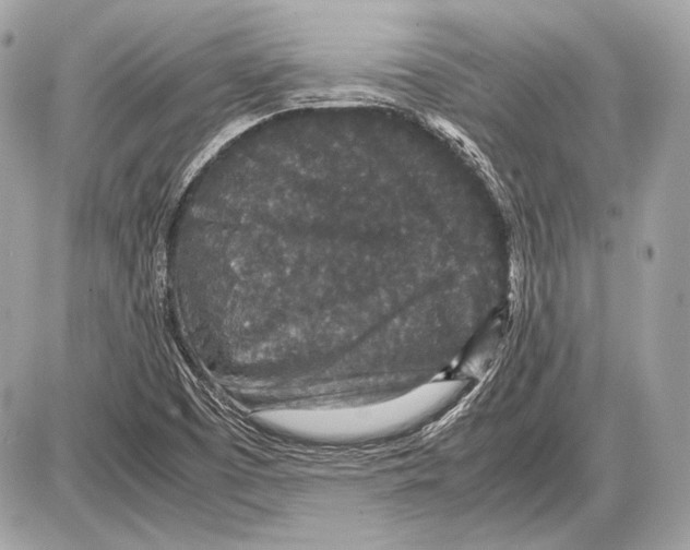 X0000085811457200704091554