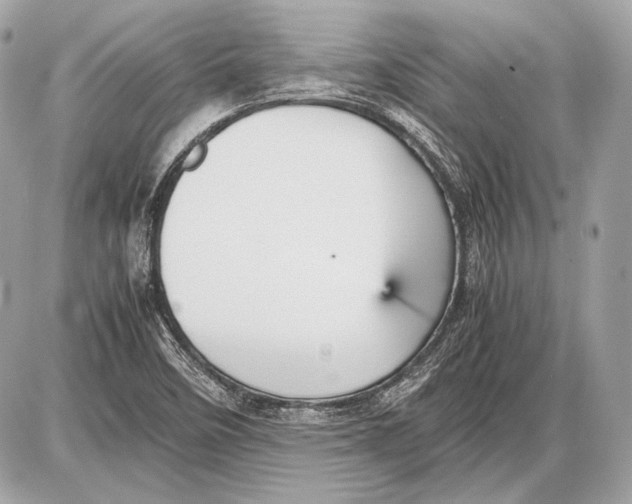 X0000085811458200704091554