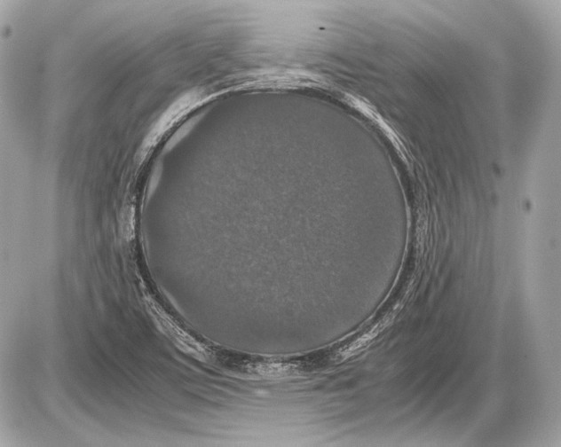 X0000085811459200704091554