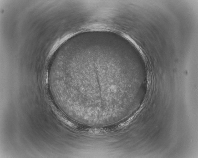 X0000085811461200704091554