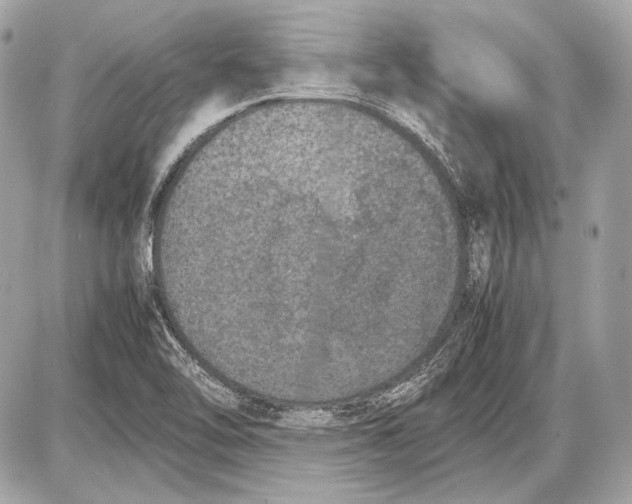 X0000085811462200704091554