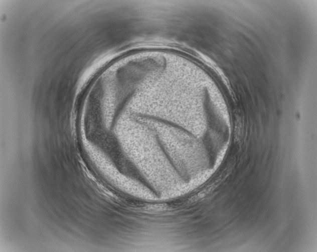 X0000085811464200704091554