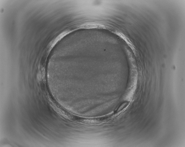 X0000085811465200704091554