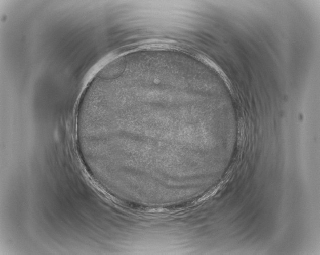 X0000085811467200704091554