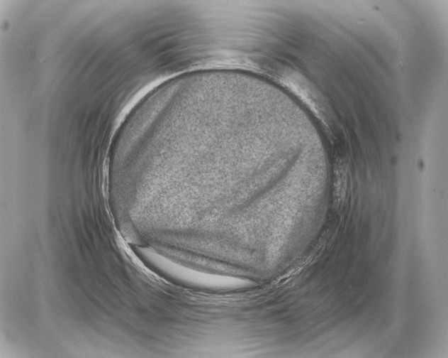 X0000085811468200704091554