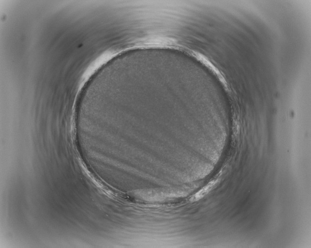 X0000085811469200704091554