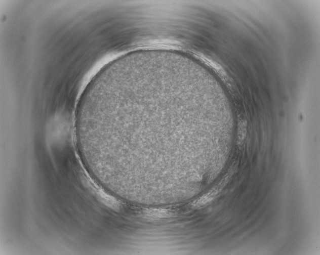 X0000085811470200704091554