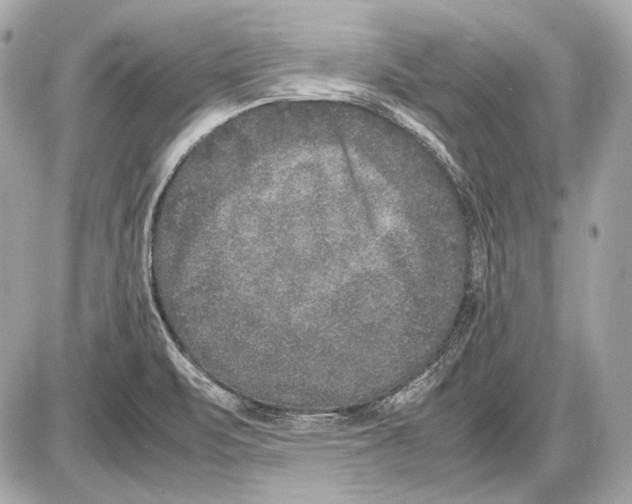 X0000085811471200704091554