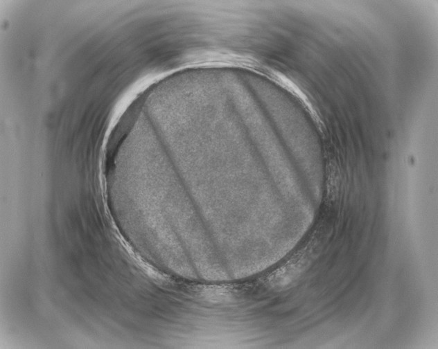 X0000085811472200704091554