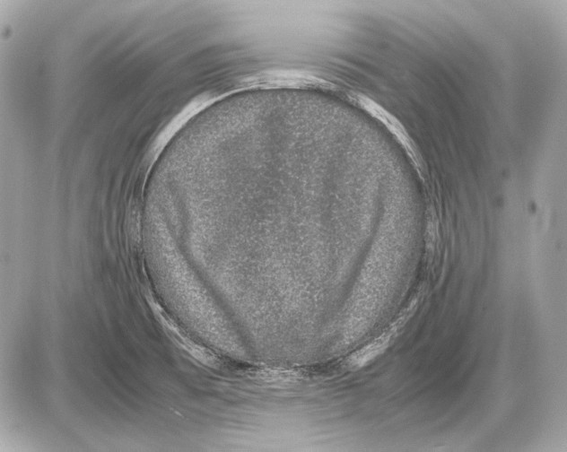 X0000085811473200704091554