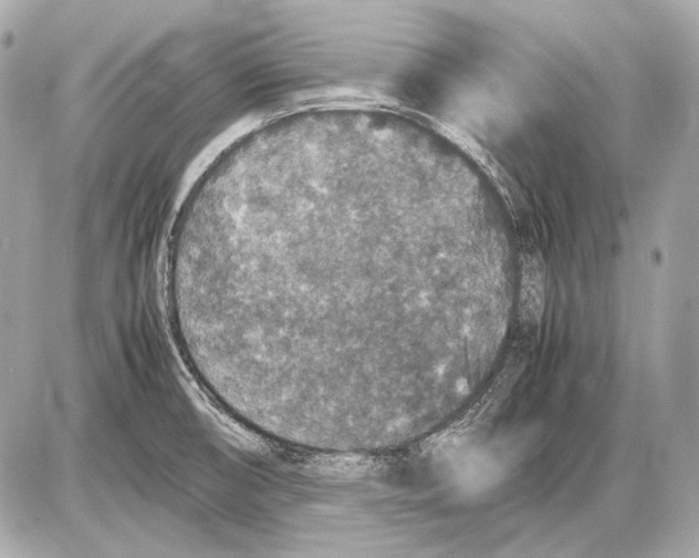 X0000085811474200704091554