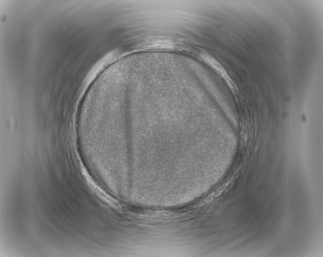 X0000085811475200704091554