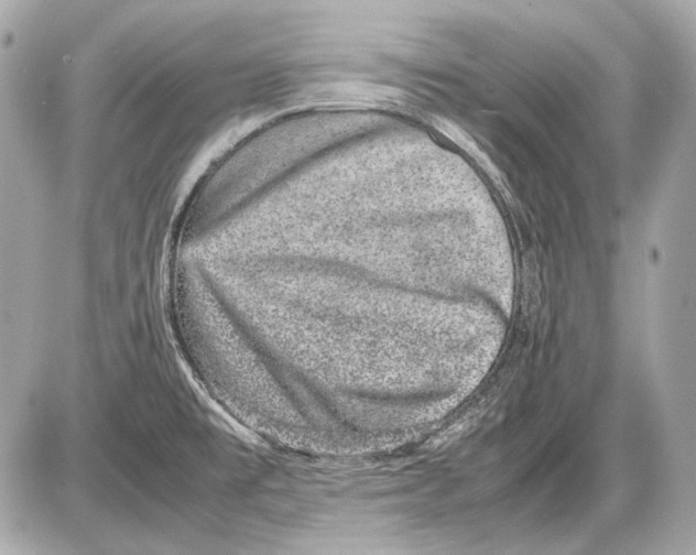 X0000085811477200704091554