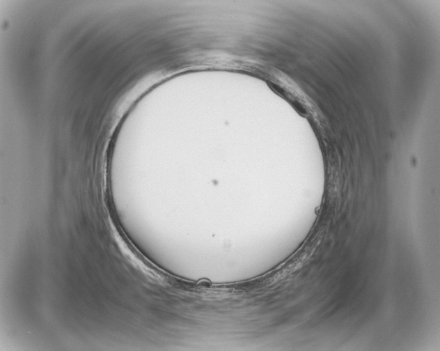 X0000085811479200704091554