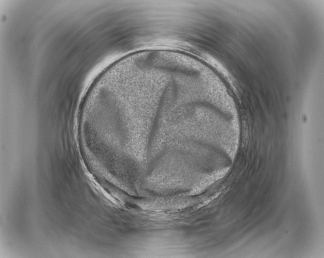 X0000085811480200704091554