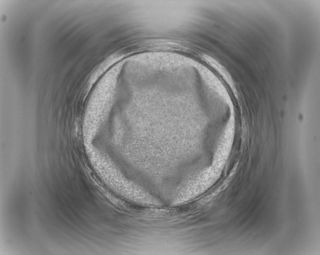 X0000085811481200704091554