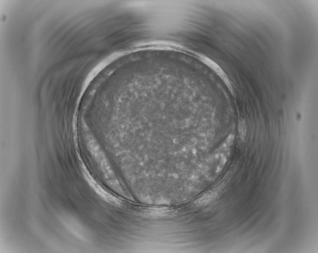 X0000085811482200704091554