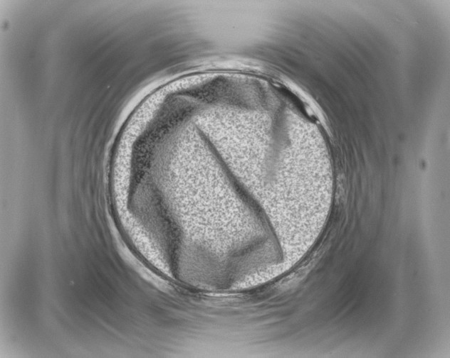 X0000085811483200704091554