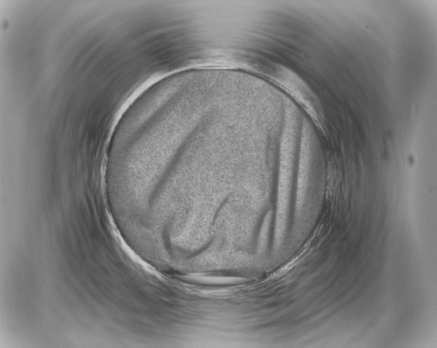 X0000085811484200704091553