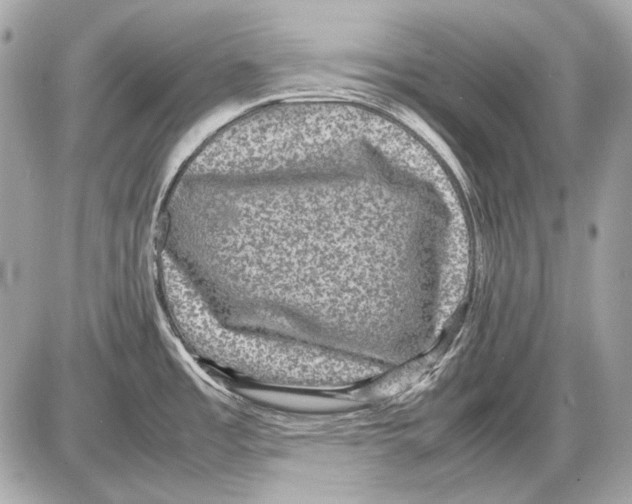 X0000085811485200704091553