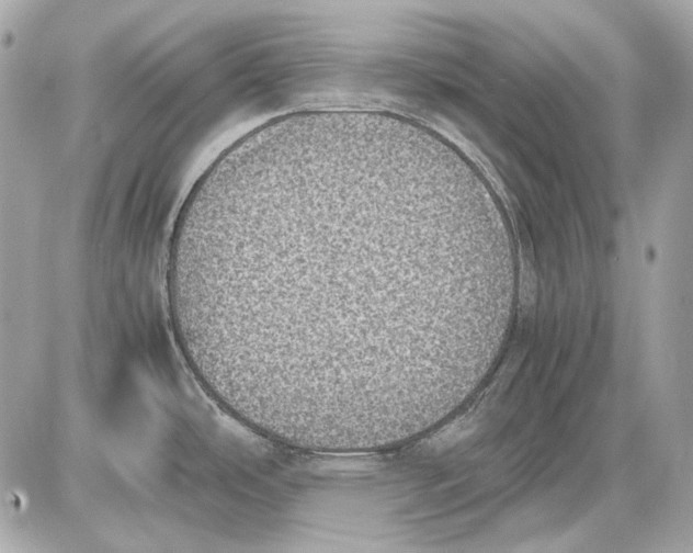 X0000085811486200704091553