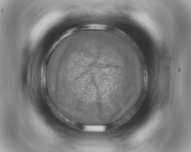 X0000085811487200704091553