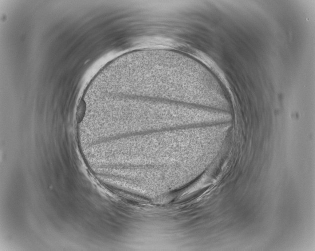 X0000085811488200704091553