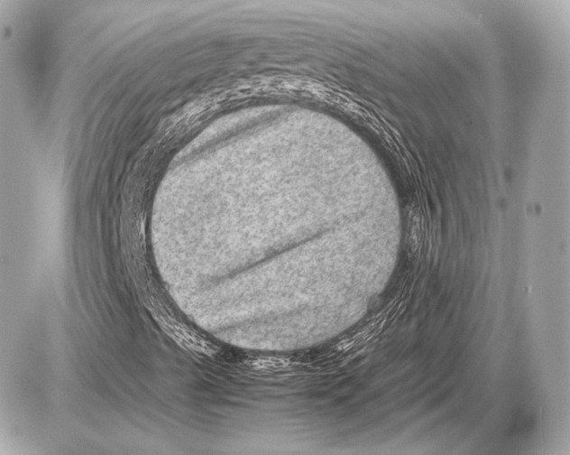 X0000085811489200704091553