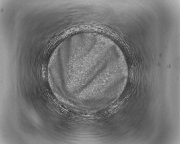 X0000085811490200704091553