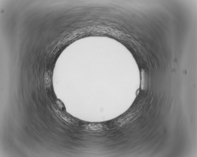 X0000085811491200704091553