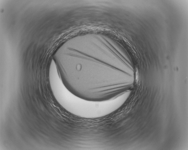 X0000085811492200704091553