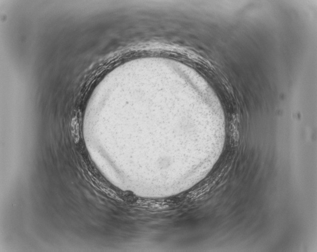 X0000085811493200704091553