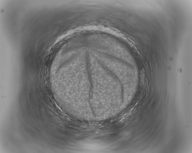 X0000085811494200704091553