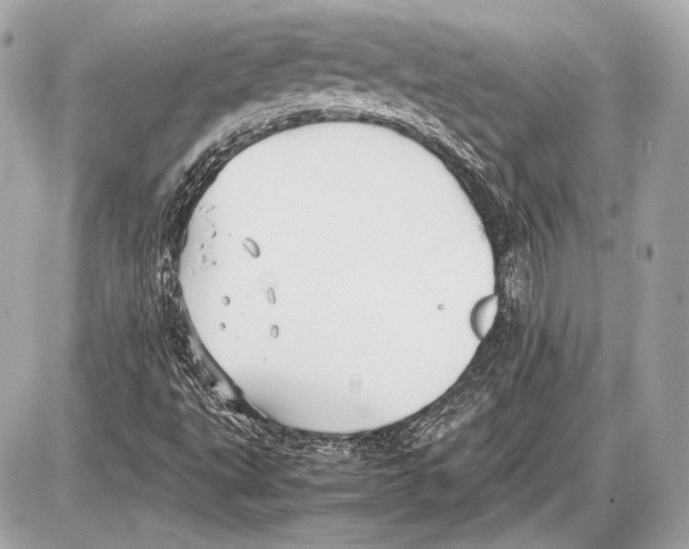 X0000085811495200704091553