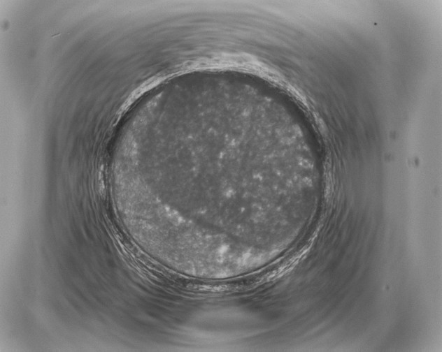 X0000085811497200704091553