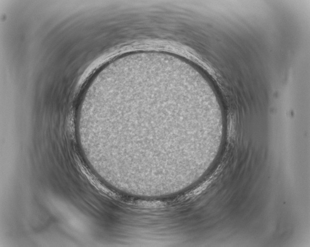 X0000085811498200704091553