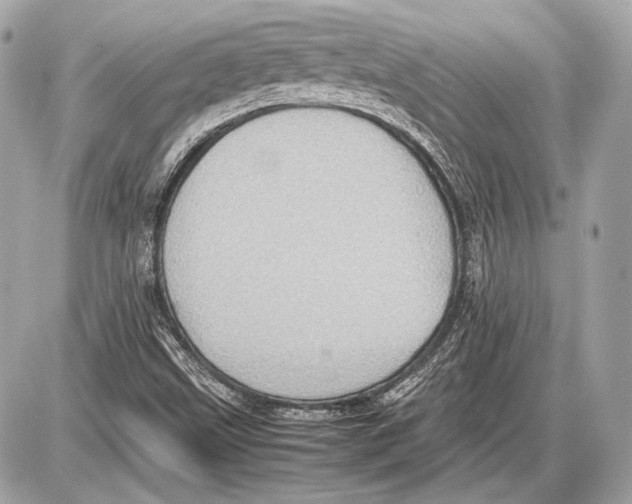 X0000085811499200704091553