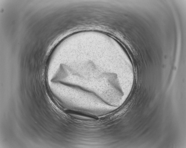 X0000085811500200704091553