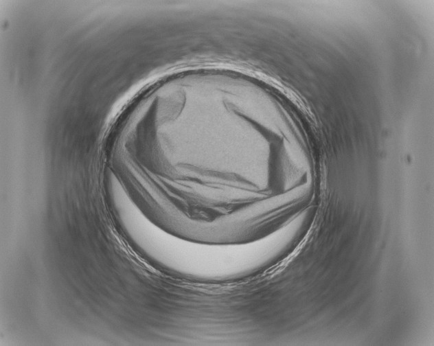 X0000085811502200704091553