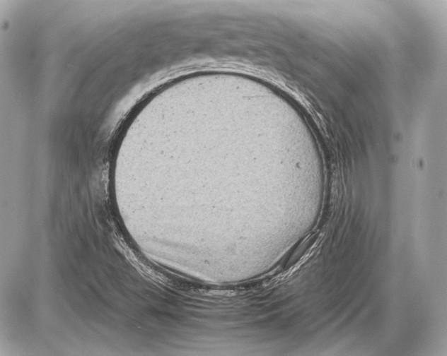 X0000085811503200704091553