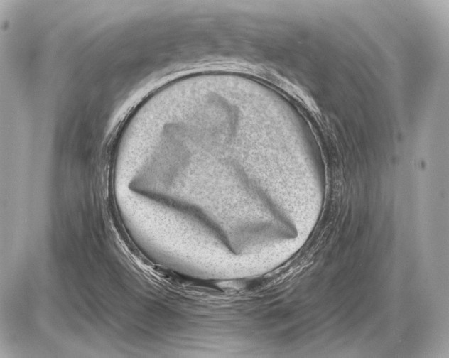 X0000085811504200704091553