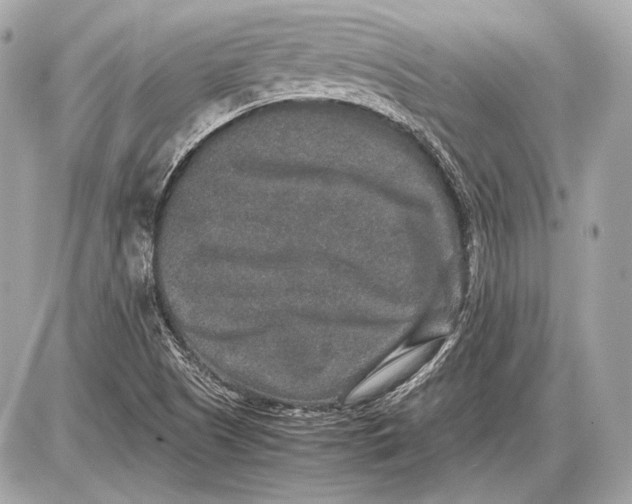 X0000085811505200704091553