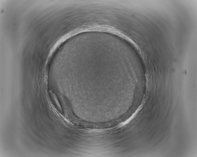 X0000085811506200704091553