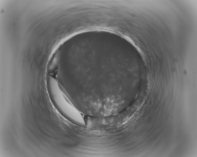 X0000085811508200704091553