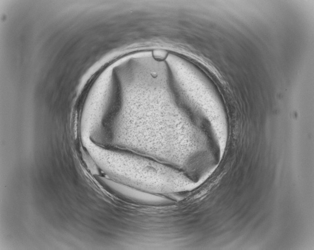 X0000085811510200704091553