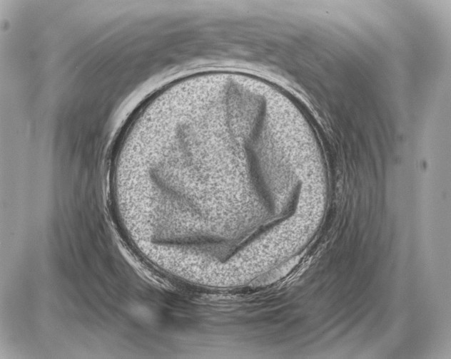 X0000085811511200704091553