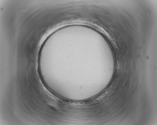 X0000085811512200704091553